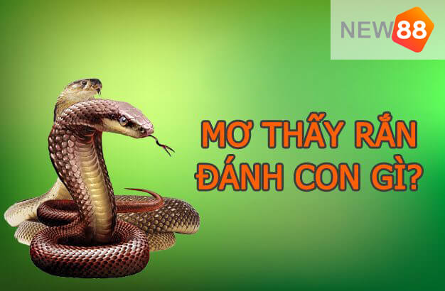 Giải mã giấc mơ thấy rắn nên đánh con gì? Giải mã giấc mơ thấy rắn nên đánh con gì?