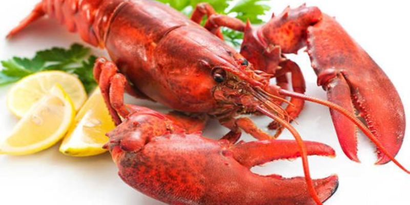 Mơ thấy tôm và cá lẫn lộn nhau Mơ thấy tôm và cá lẫn lộn nhau