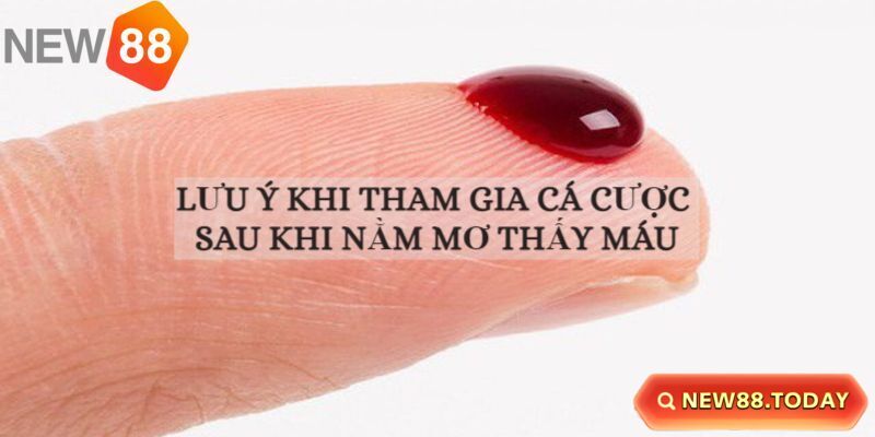 Lưu ý khi cá cược nằm mơ thấy máu